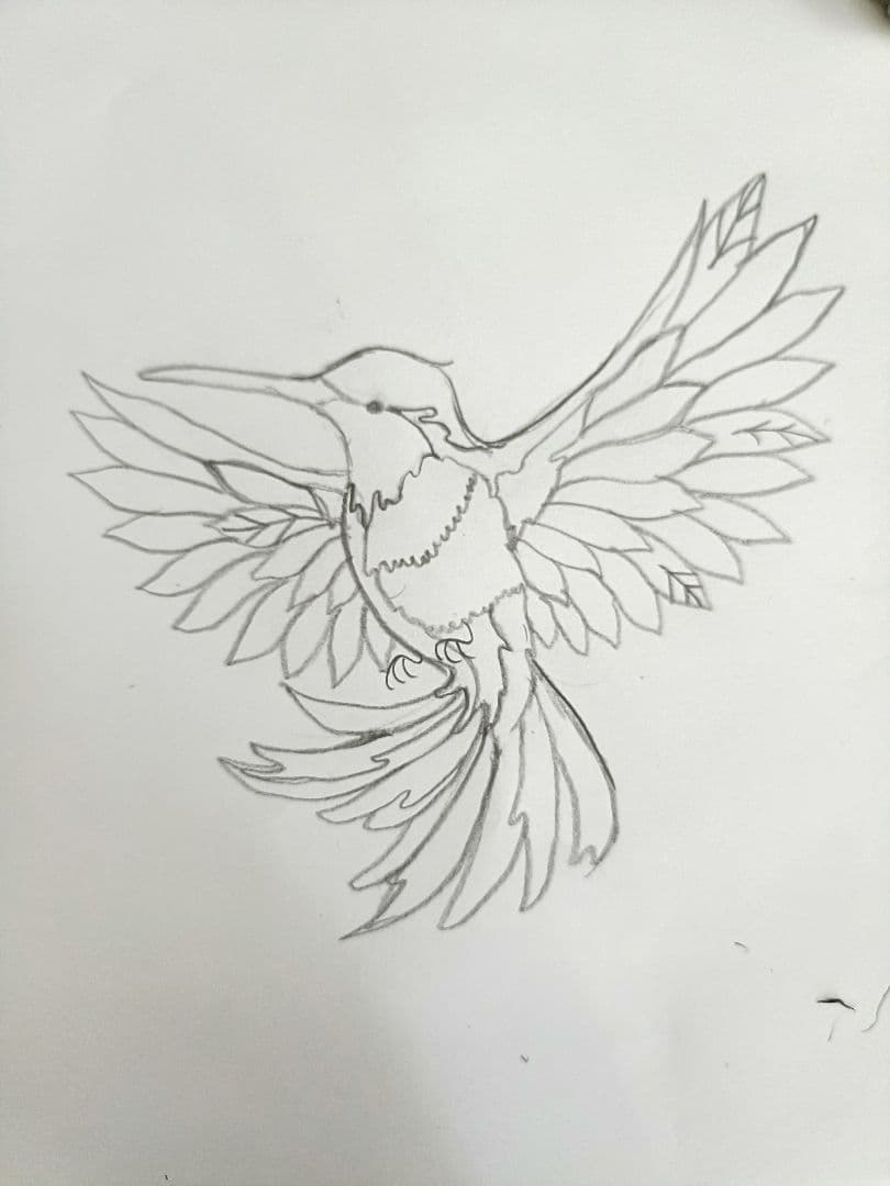 ミーテページ　ハミングバード　デザイン画