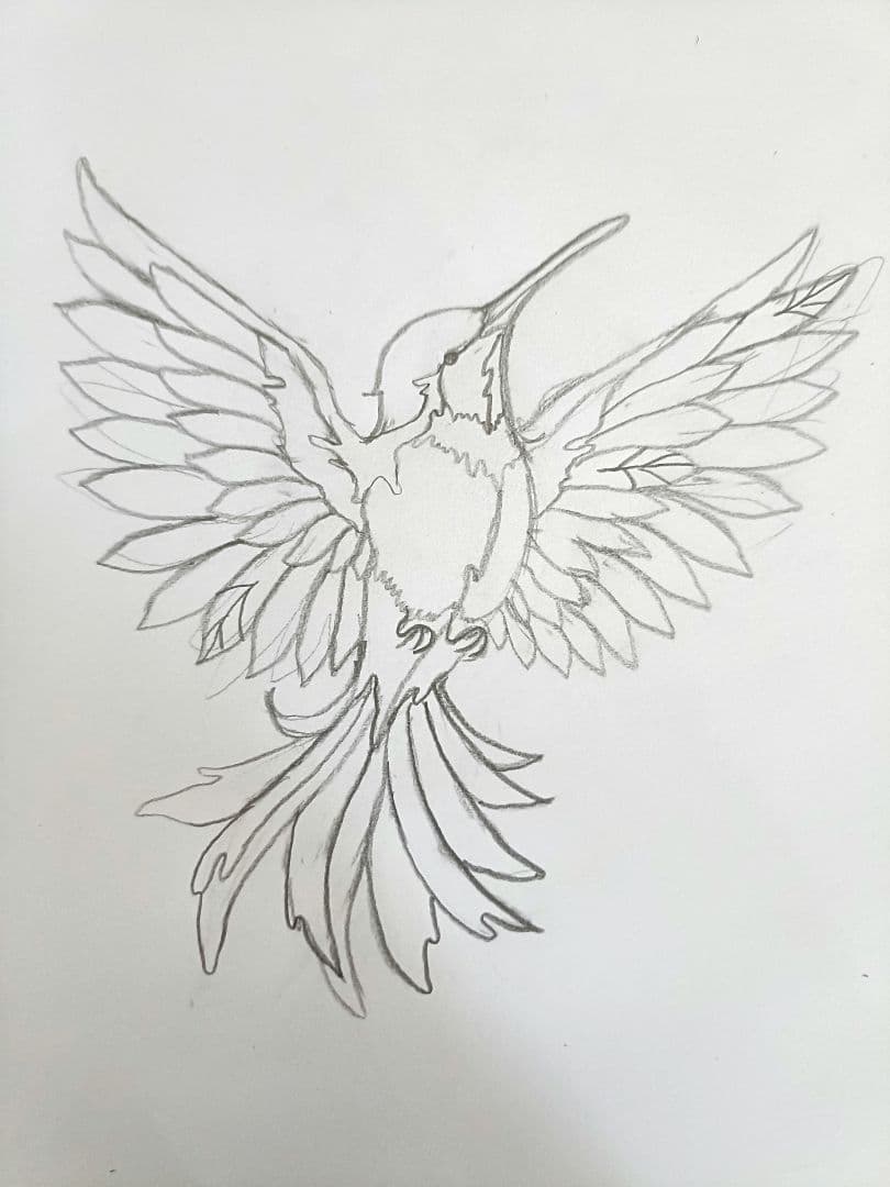 ミーテページ　ハミングバード　デザイン画