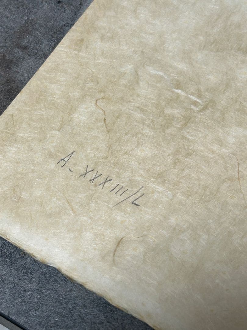 レオノール・フィニ 「花の魔女」イタリア系アルゼンチン人作家 エロティシズム