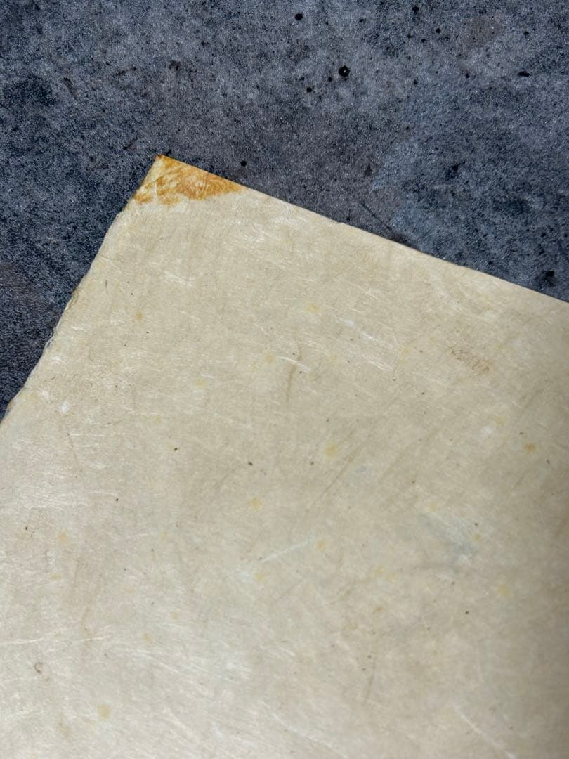 レオノール・フィニ 「花の魔女」イタリア系アルゼンチン人作家 エロティシズム