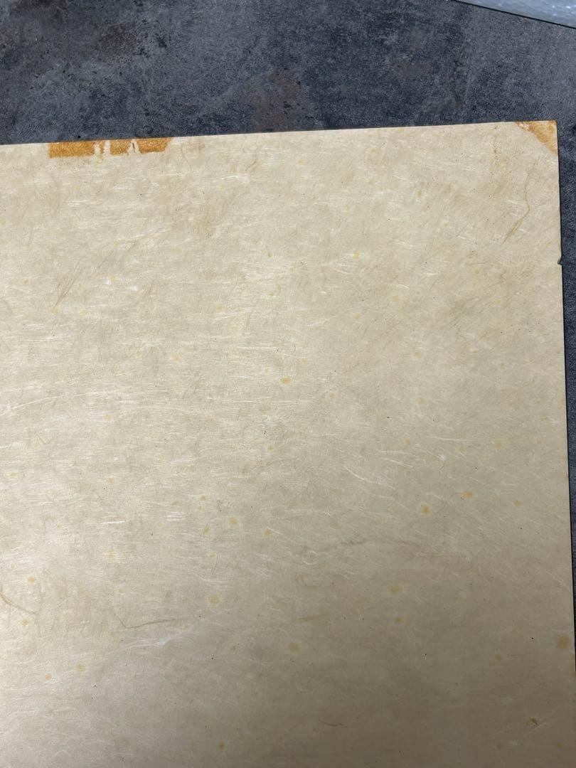 レオノール・フィニ 「花の魔女」イタリア系アルゼンチン人作家 エロティシズム