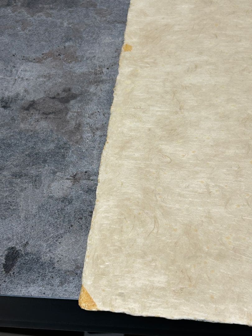 レオノール・フィニ 「花の魔女」イタリア系アルゼンチン人作家 エロティシズム