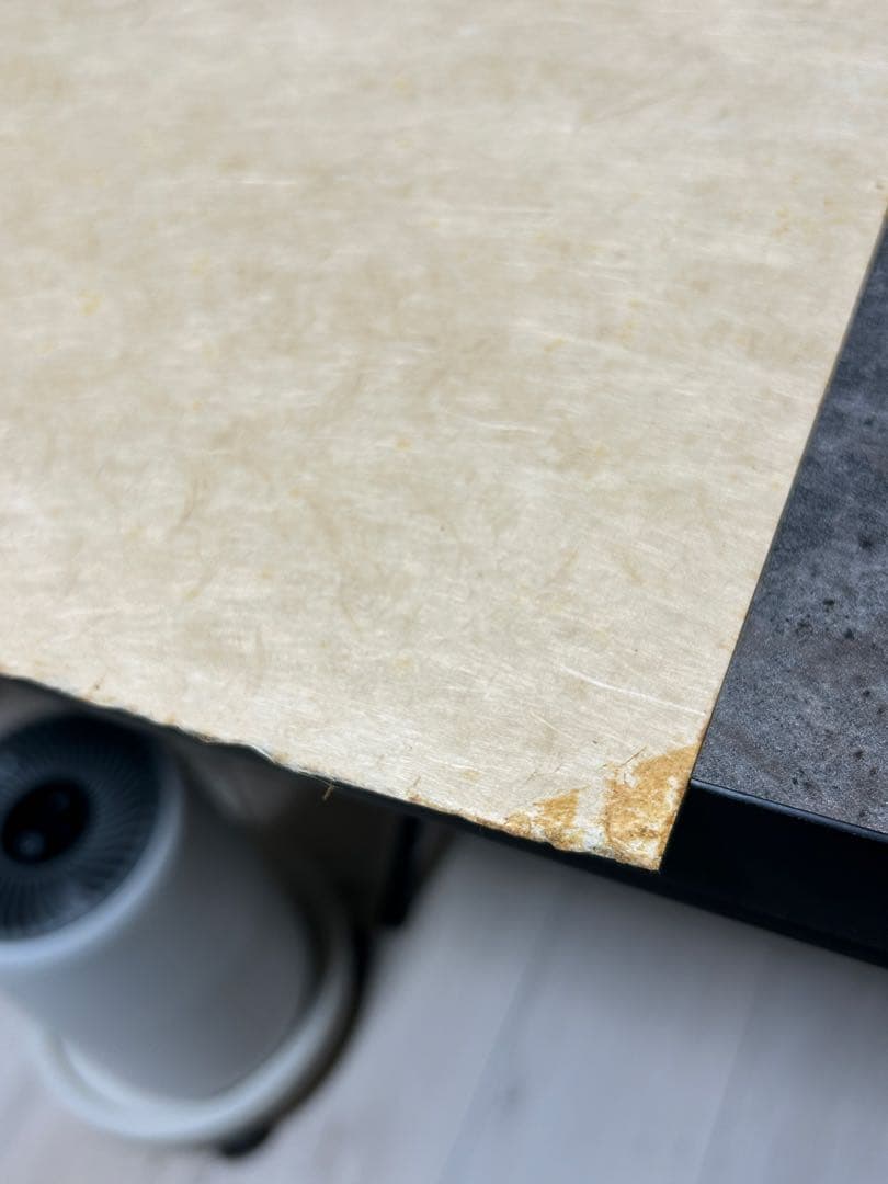 レオノール・フィニ 「花の魔女」イタリア系アルゼンチン人作家 エロティシズム