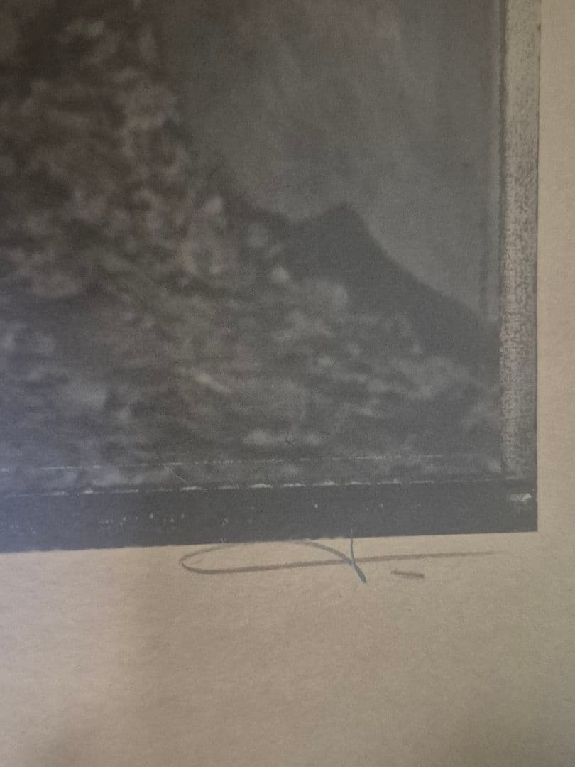 00's Tool 公式 大判ライブポスター　サイン入り