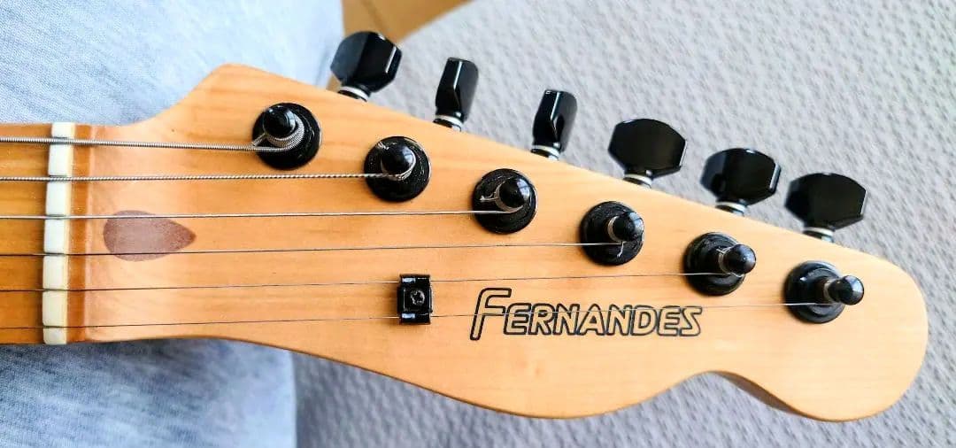 FERNANDES TE-95T TAKUYAモデル メンテ済 ジュディマリ