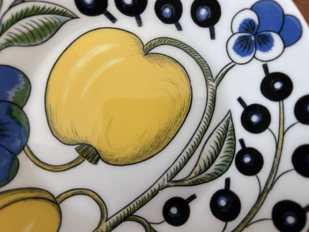 パラティッシ　カラー　プレート　2枚