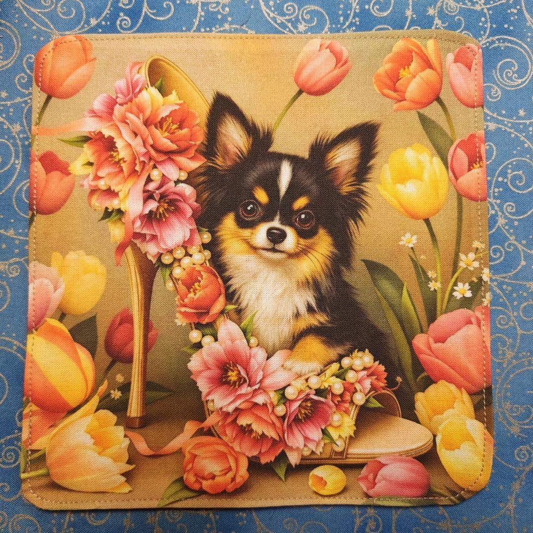 Tamago ハンカチ　チワワちゃん柄　18枚