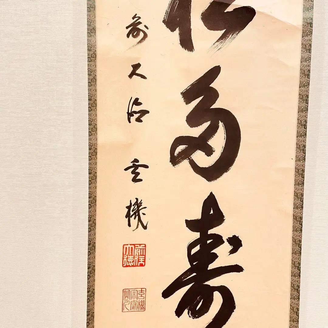 3005 松濤玄機 「青松多寿色」 共箱 肉筆 大徳寺 禅語