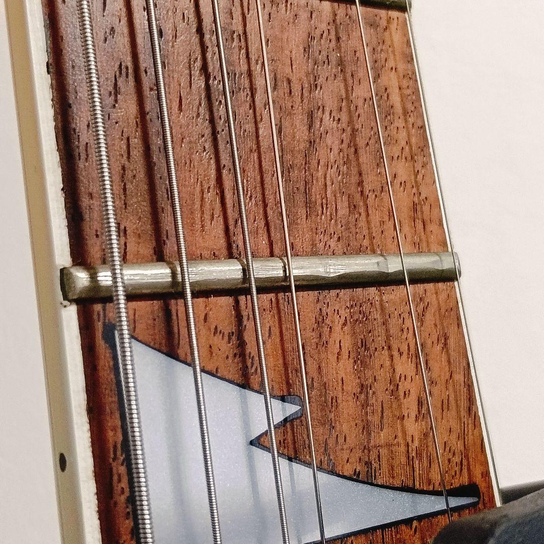 アイバニーズ 日本製 希少 99年 フジゲン製 Ibanez RG 450 AH