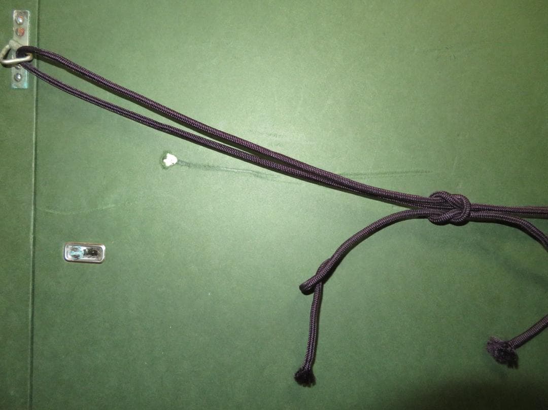 上原卓　「湖の春」　日本画 P12号　創画会　京都市立芸術大教授　文部省買上