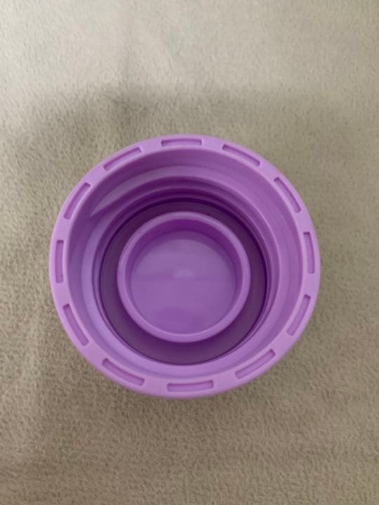 【Starbucks北米限定品】Holiday 2021 スタバ ガラスボトル