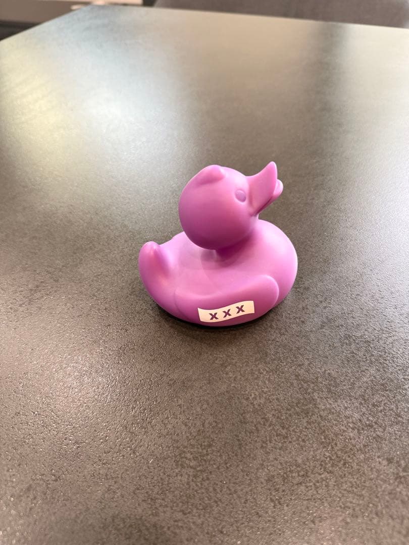 Bristol アヒル５個セット売り