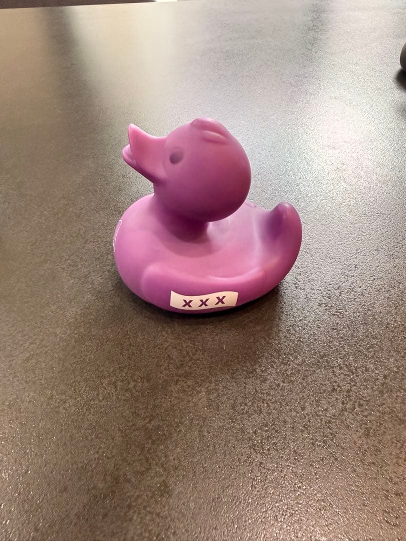 Bristol アヒル５個セット売り