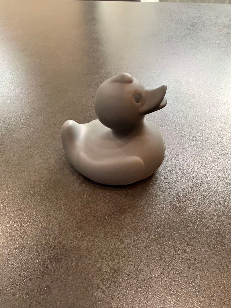 Bristol アヒル５個セット売り