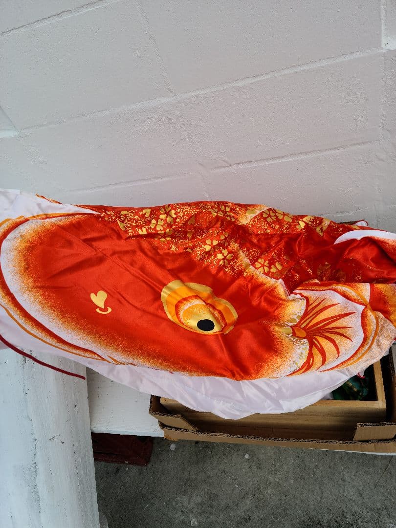 はるじおん様　鯉のぼり