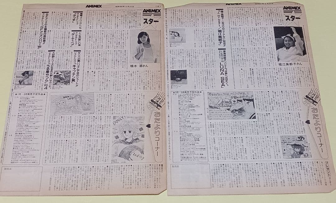 ANIMEX アニメサウンド　情報誌　12セット コロムビアレコード　1982年