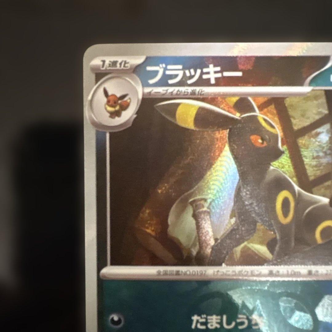 テラスタルフェスex　ブラッキー　マスターボールミラー