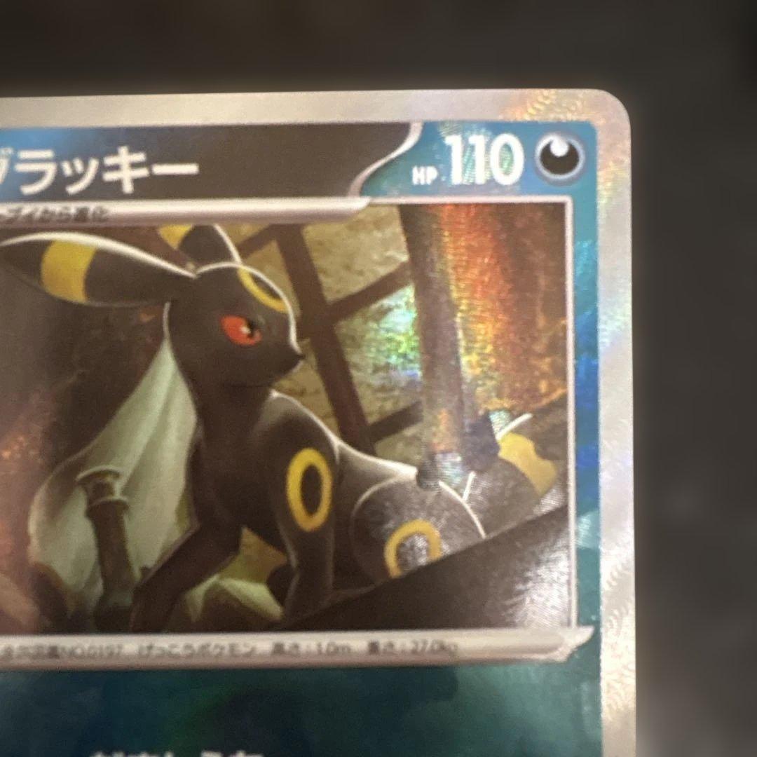 テラスタルフェスex　ブラッキー　マスターボールミラー