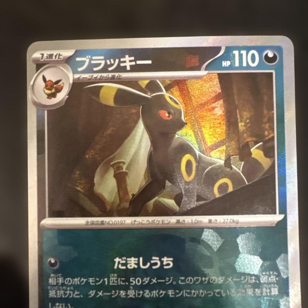 テラスタルフェスex　ブラッキー　マスターボールミラー