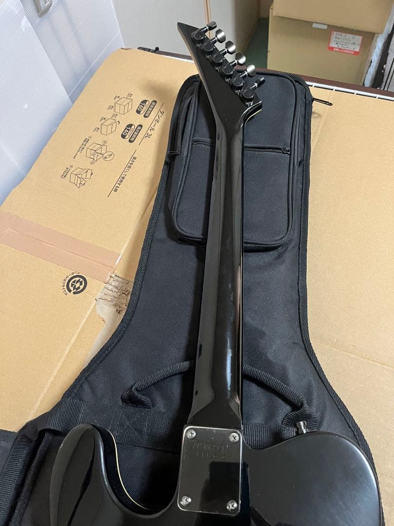 FERNANDES LIMITED EDITION TEJ 希少なLシリアル