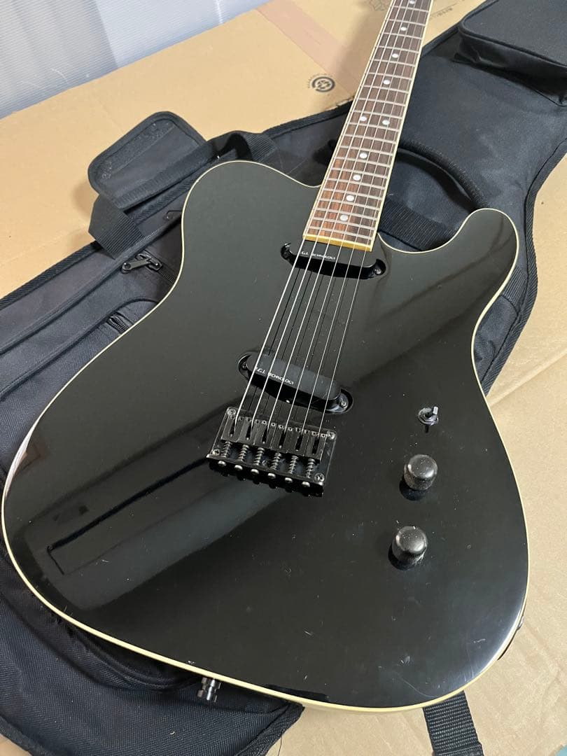 FERNANDES LIMITED EDITION TEJ 希少なLシリアル