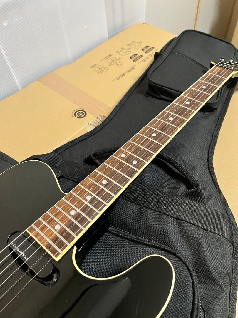 FERNANDES LIMITED EDITION TEJ 希少なLシリアル