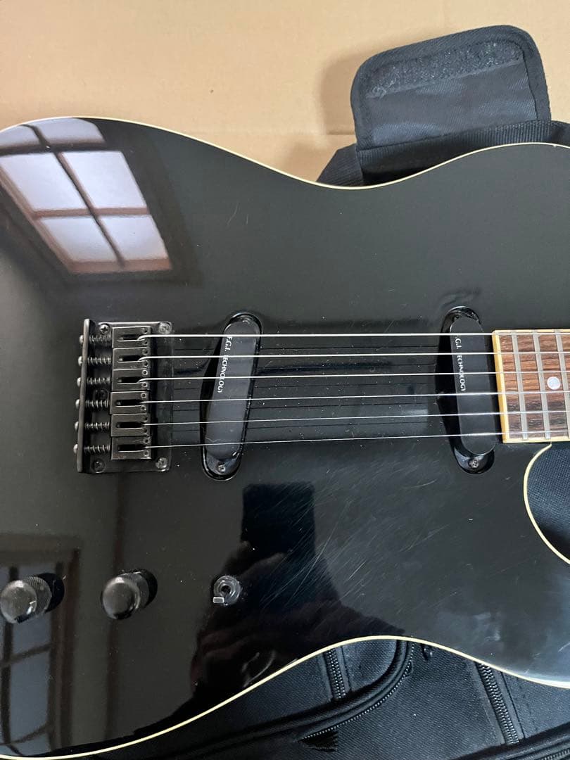 FERNANDES LIMITED EDITION TEJ 希少なLシリアル