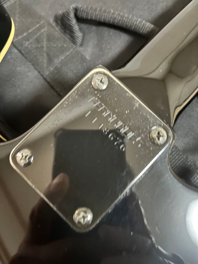 FERNANDES LIMITED EDITION TEJ 希少なLシリアル