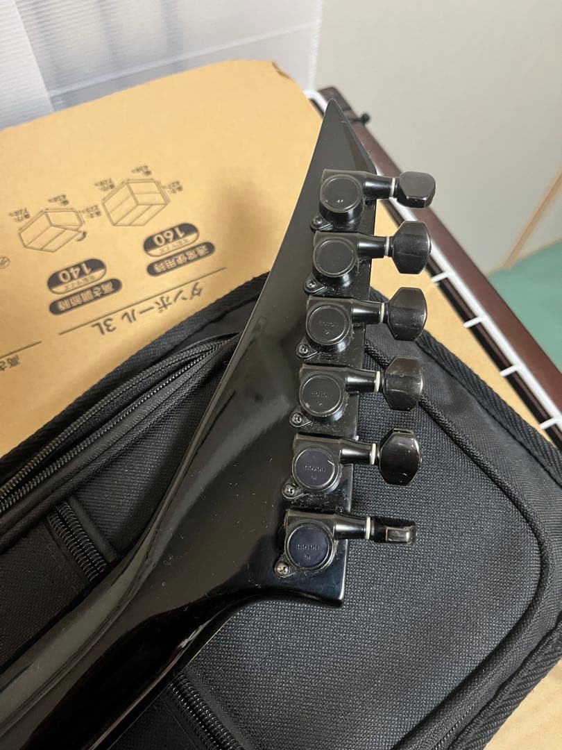 FERNANDES LIMITED EDITION TEJ 希少なLシリアル