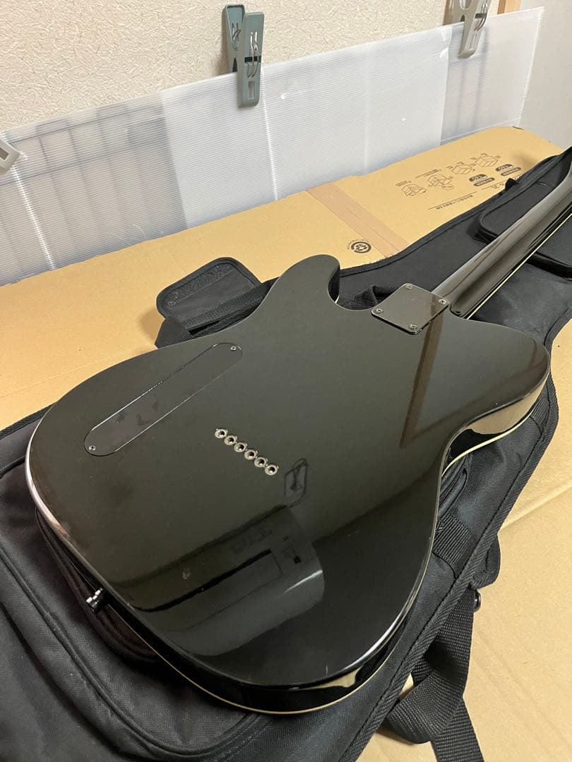 FERNANDES LIMITED EDITION TEJ 希少なLシリアル