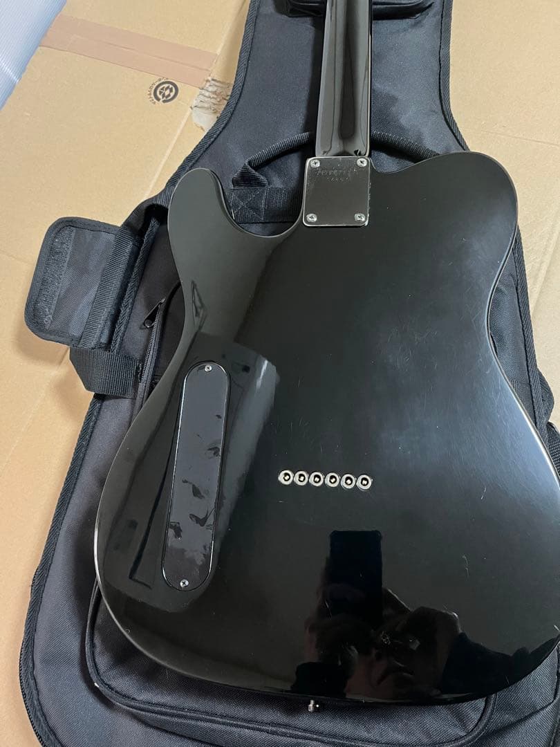 FERNANDES LIMITED EDITION TEJ 希少なLシリアル