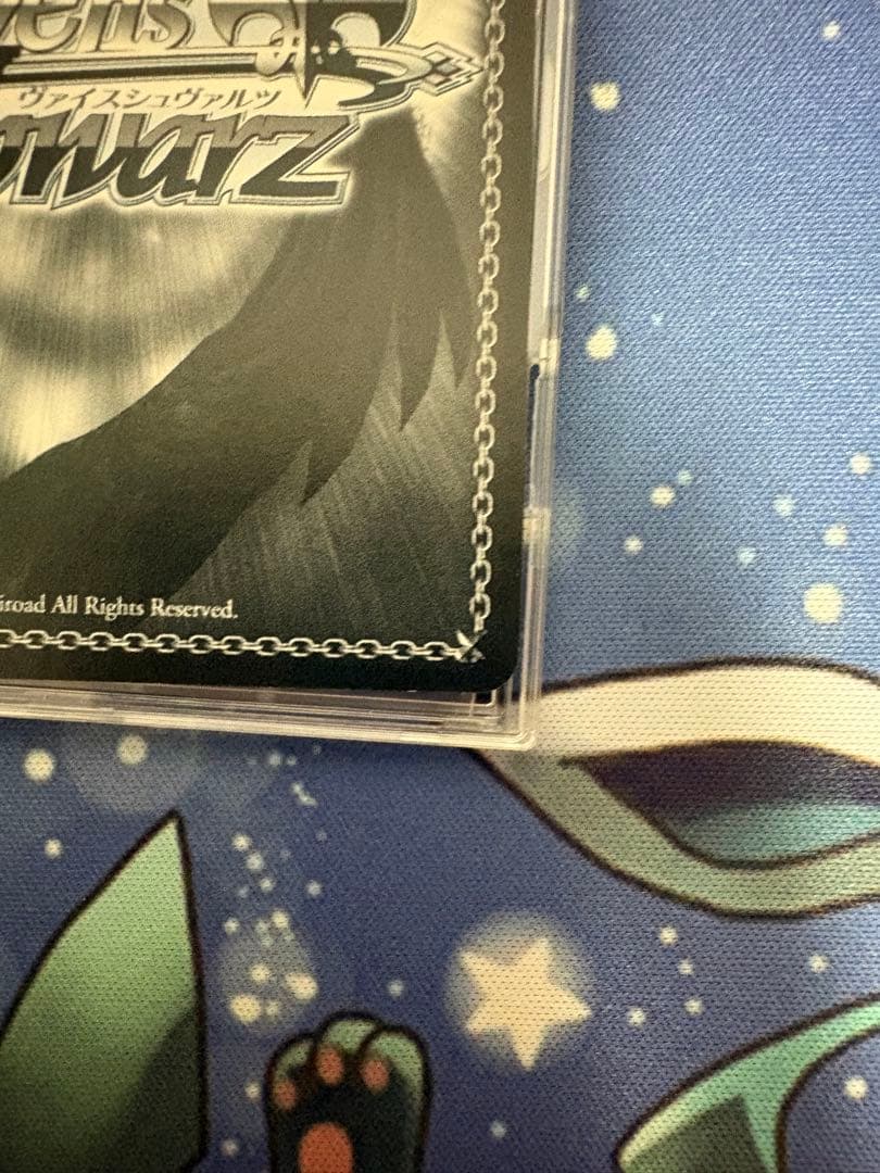 ヴァイスシュヴァルツ　撮りたかった景色 友利 奈緒　SP