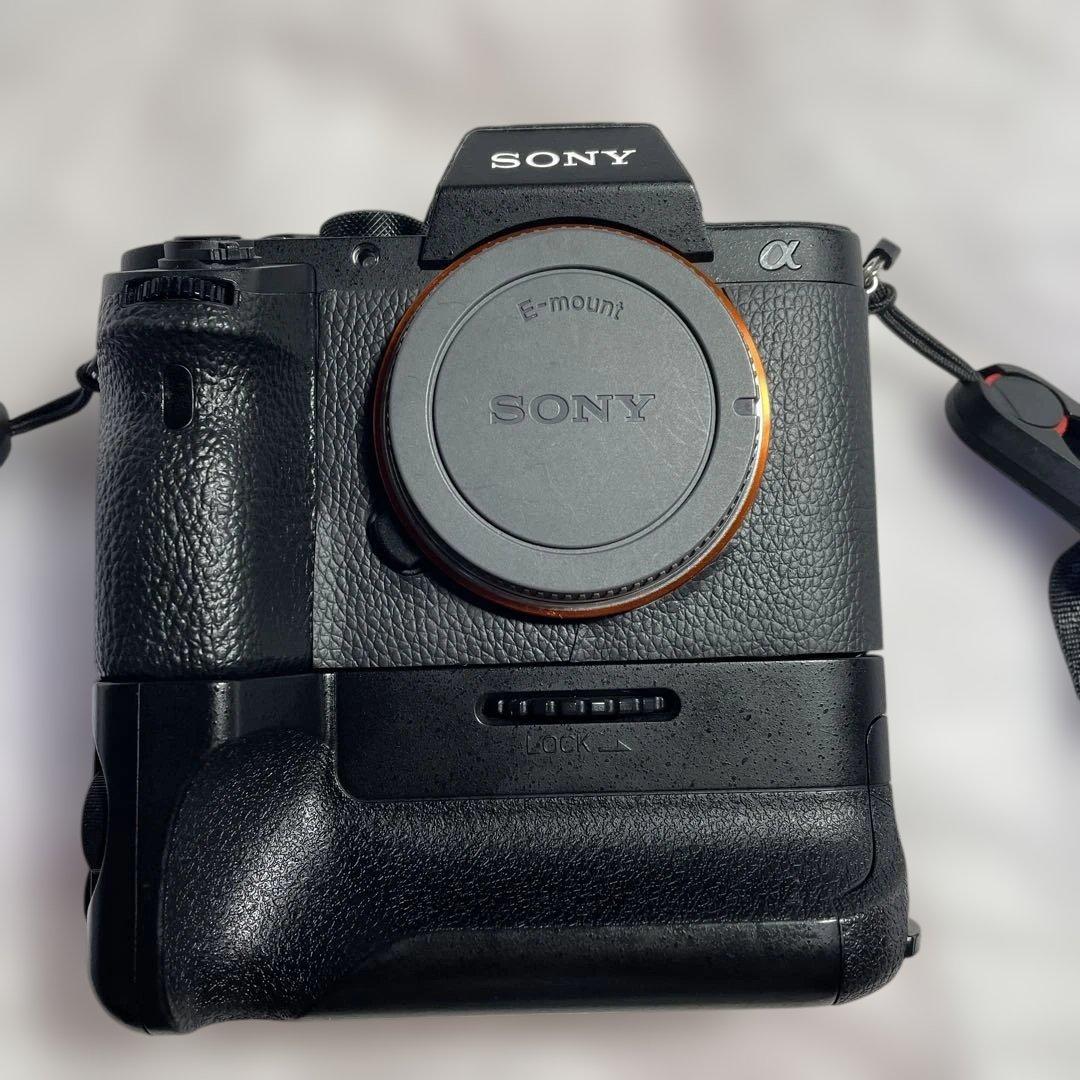 ILCE-7M2 お遊びカメラとレンズ