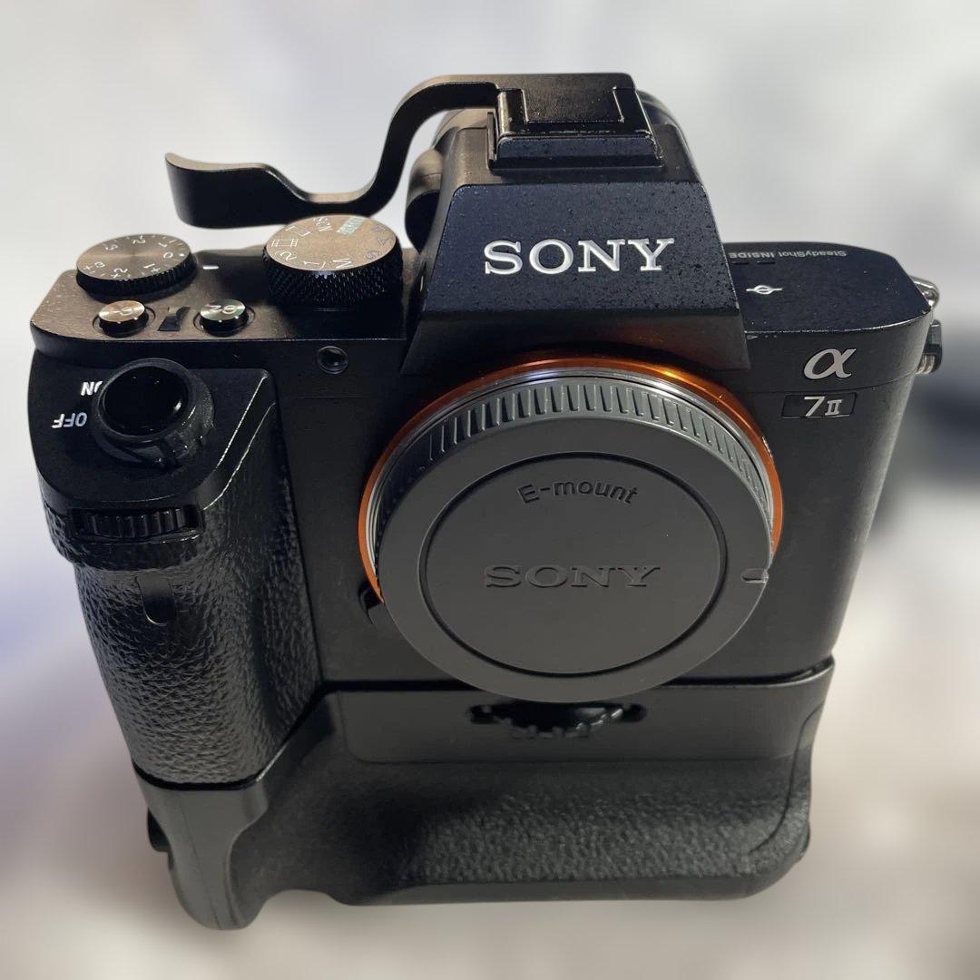 ILCE-7M2 お遊びカメラとレンズ