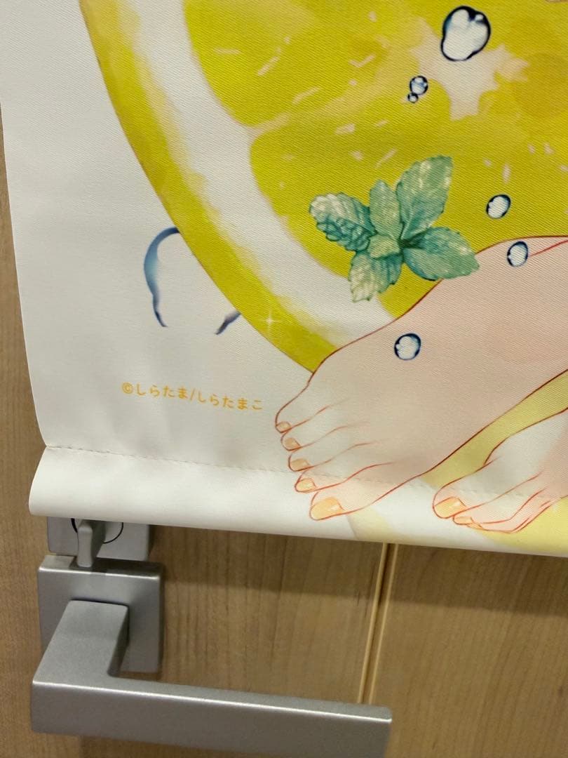 しらたま しらたまこ b2 タペストリー ころね