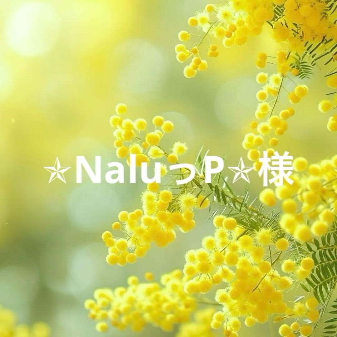 【おまとめ】✯NaluっP✯様
