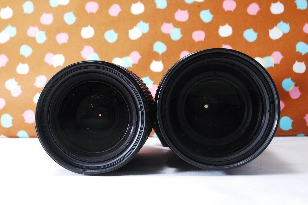 ✨届いてすぐ使える✨超人気機種✨Nikon D200 ダブルレンズセット
