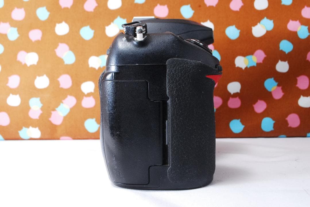 ✨届いてすぐ使える✨超人気機種✨Nikon D200 ダブルレンズセット