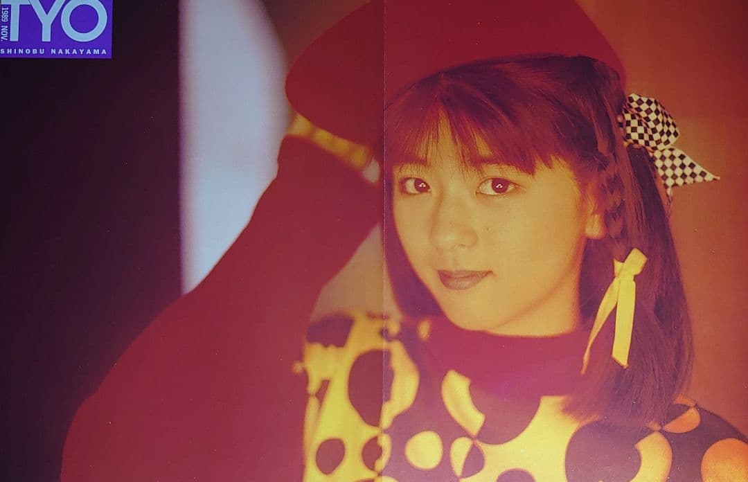 中山忍　1988年〜1991年 大量　切り抜き　ファイル　2冊　120P