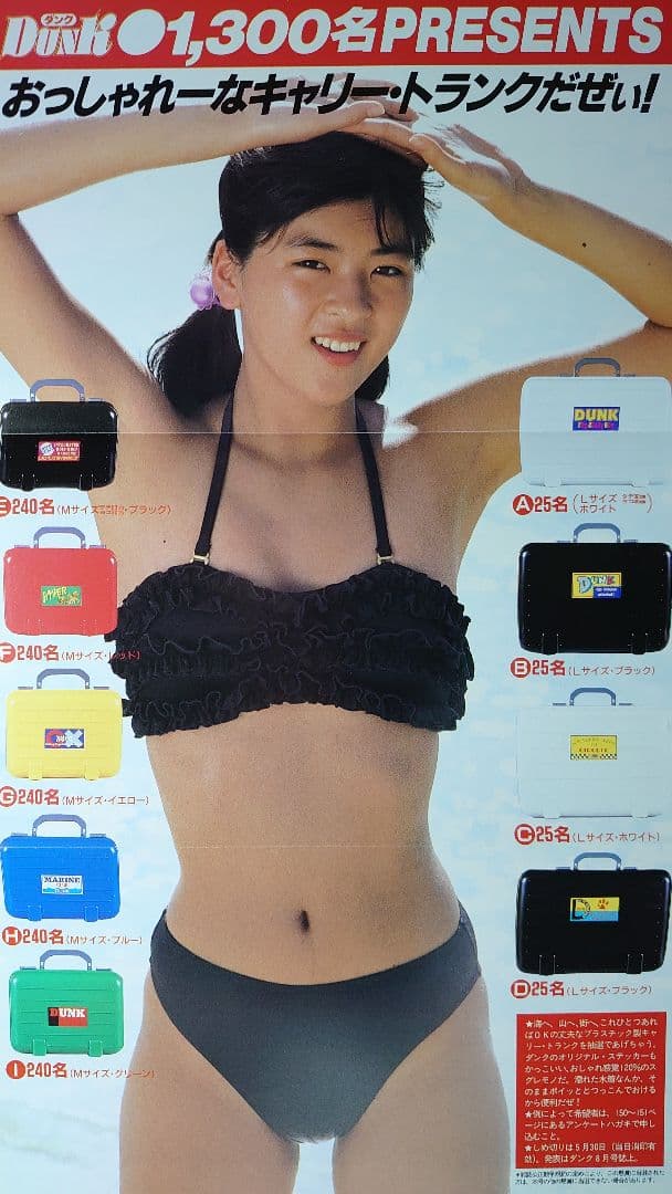 中山忍　1988年〜1991年 大量　切り抜き　ファイル　2冊　120P