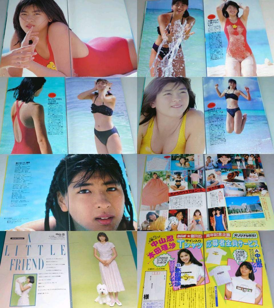 中山忍　1988年〜1991年 大量　切り抜き　ファイル　2冊　120P