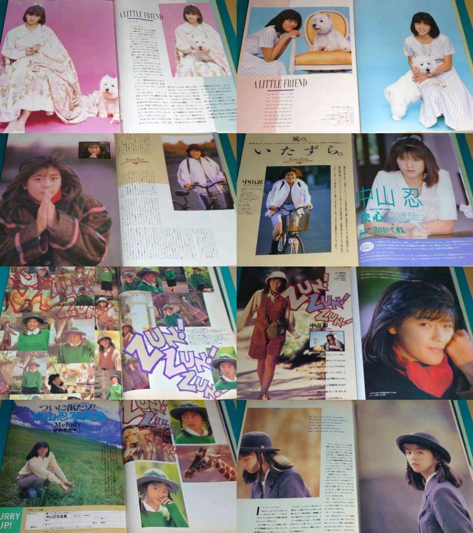 中山忍　1988年〜1991年 大量　切り抜き　ファイル　2冊　120P