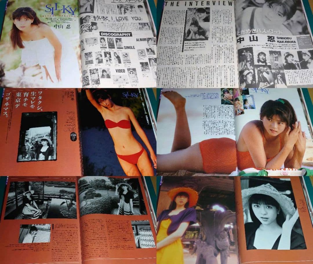中山忍　1988年〜1991年 大量　切り抜き　ファイル　2冊　120P