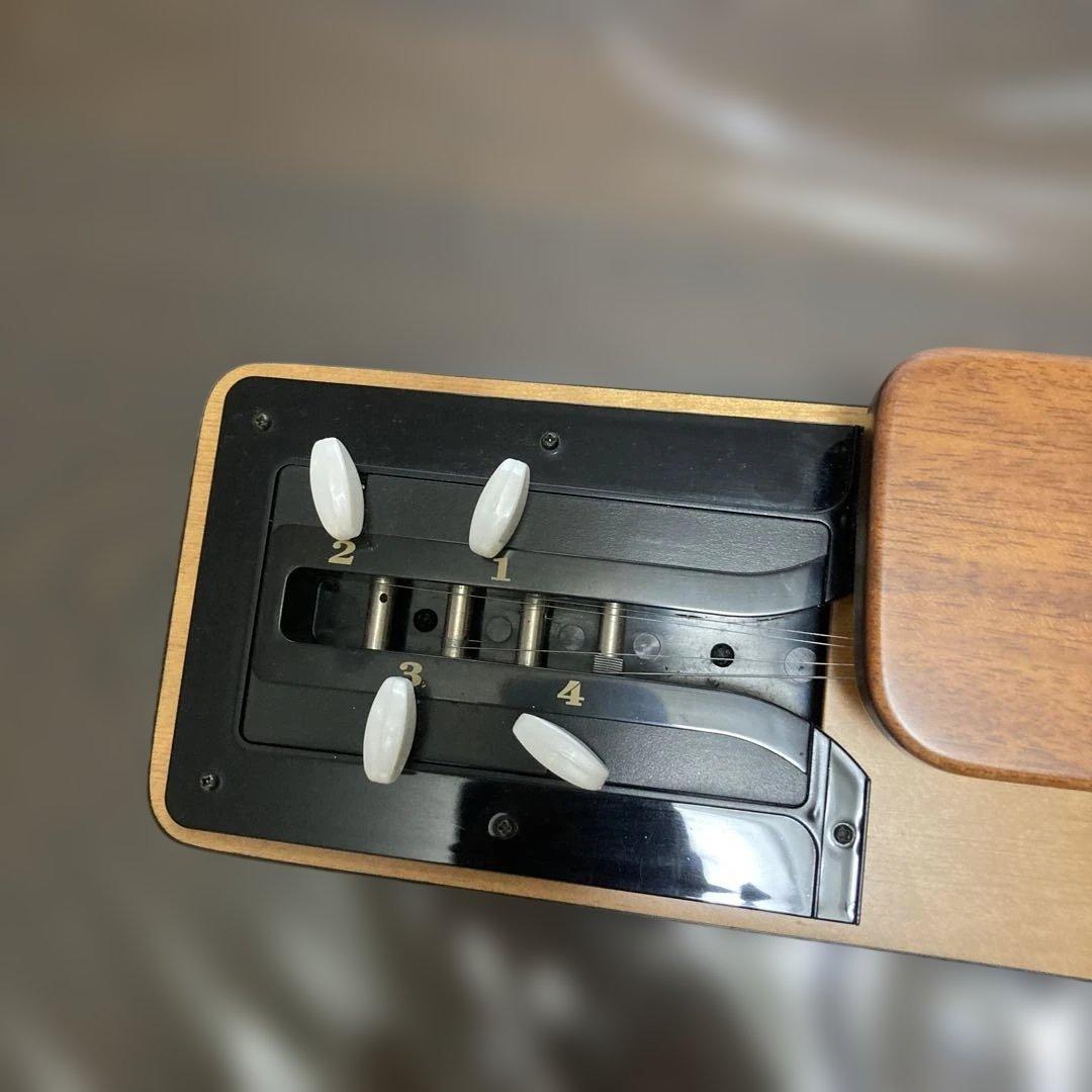 ライリッシュ 大正琴 専用ソフトケース付き