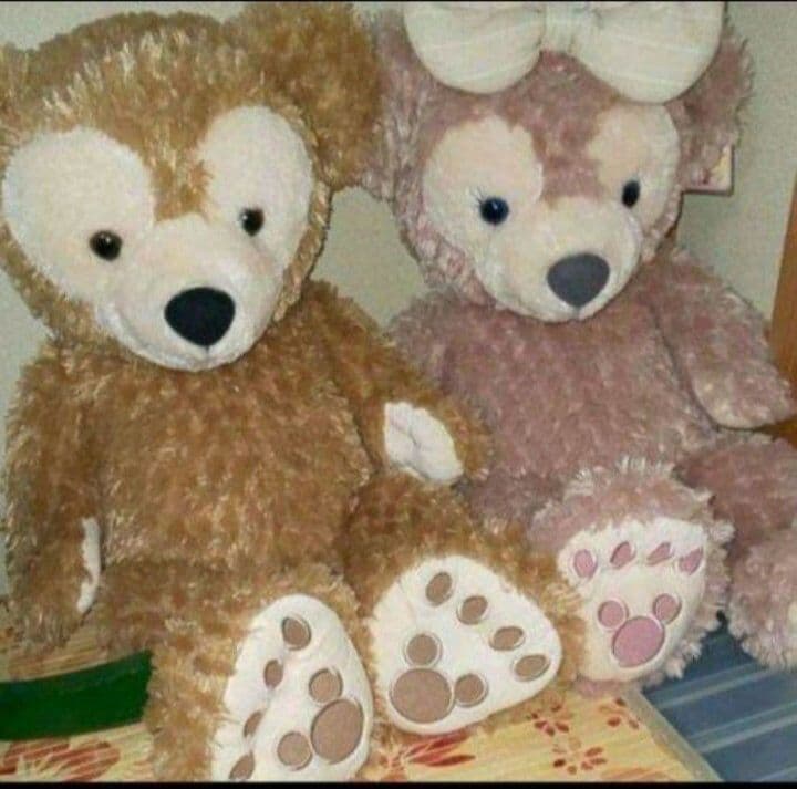 ディズニーリゾート　ダッフィー&シェリーメイ　M　クリスマスプレゼント