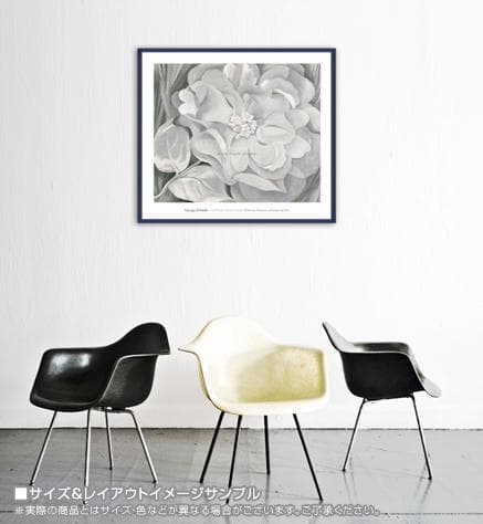 The White Calico Flower （ジョージア オキーフ)ポスター