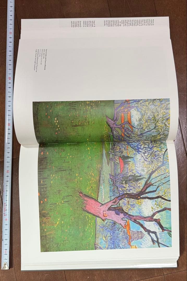 Van Gogh: The Complete Paintings 2巻セット