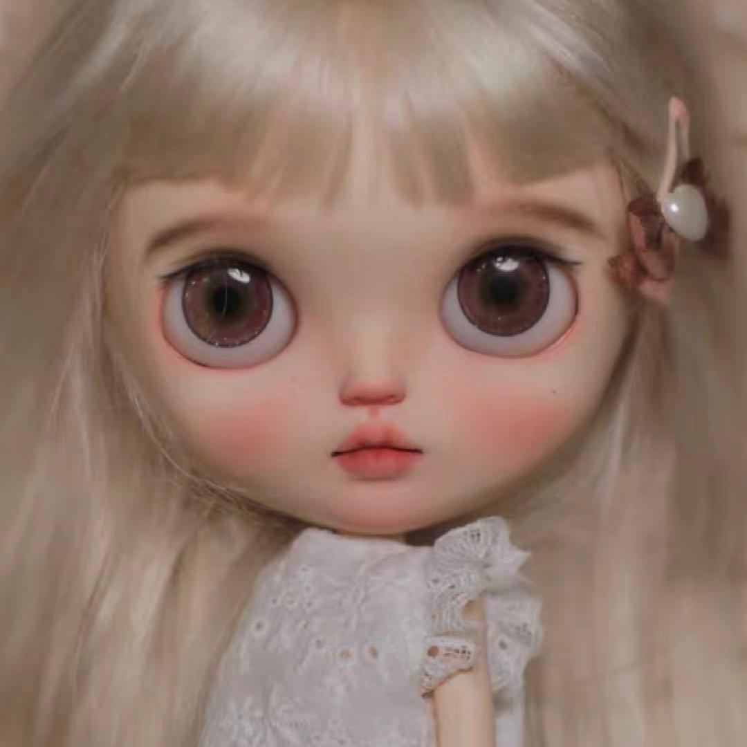 作家様カスタムブライス 人形 フルセット かわいい きれい 幼い