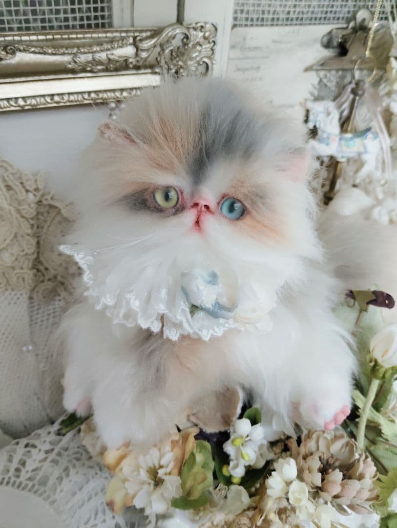 パステル三毛♡キャリコ子猫ちゃん♡オッドアイ♡アートドール♡ぬいぐるみ