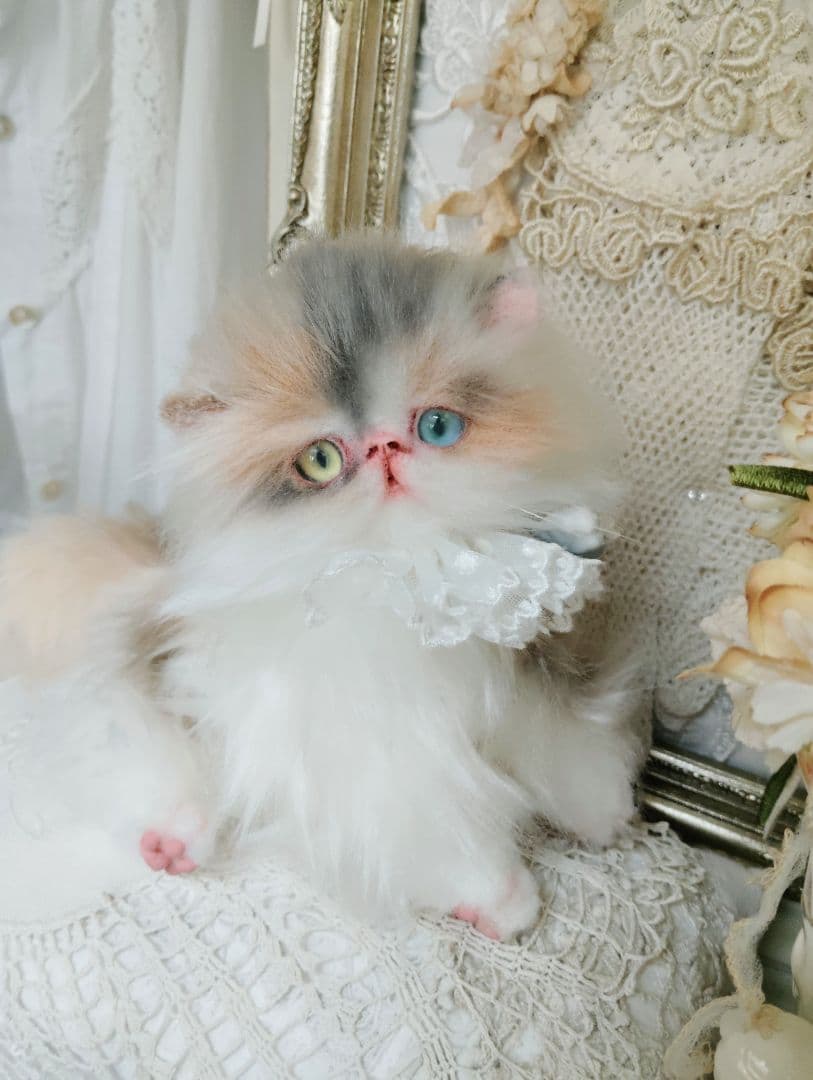 パステル三毛♡キャリコ子猫ちゃん♡オッドアイ♡アートドール♡ぬいぐるみ